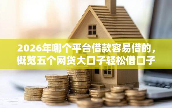 2026年哪个平台借款容易借的，概览五个网贷大口子轻松借口子