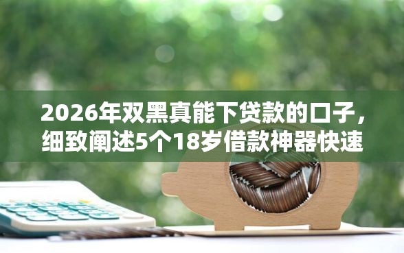 2026年双黑真能下贷款的口子，细致阐述5个18岁借款神器快速下款口子
