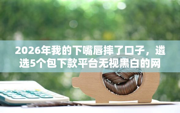 2026年我的下嘴唇摔了口子，遴选5个包下款平台无视黑白的网贷