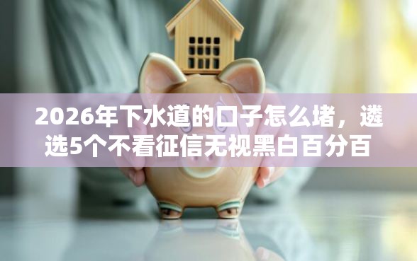 2026年下水道的口子怎么堵，遴选5个不看征信无视黑白百分百下款口子