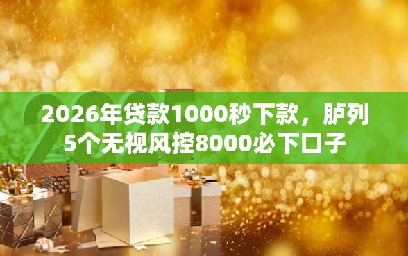 2026年贷款1000秒下款，胪列5个无视风控8000必下口子