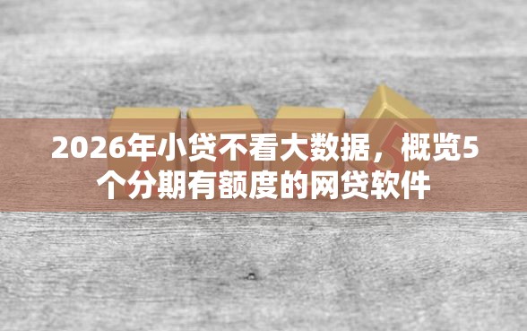 2026年小贷不看大数据，概览5个分期有额度的网贷软件