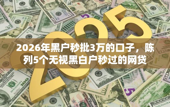 2026年黑户秒批3万的口子，陈列5个无视黑白户秒过的网贷