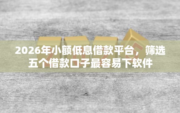 2026年小额低息借款平台，筛选五个借款口子最容易下软件