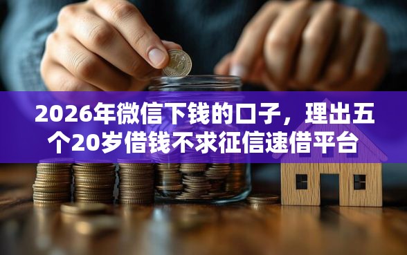2026年微信下钱的口子，理出五个20岁借钱不求征信速借平台