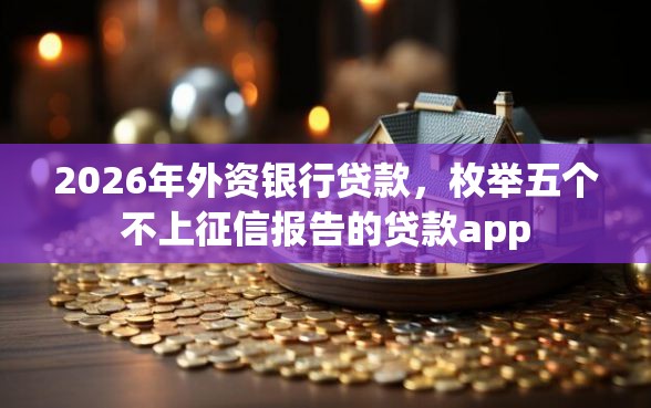 2026年外资银行贷款，枚举五个不上征信报告的贷款app