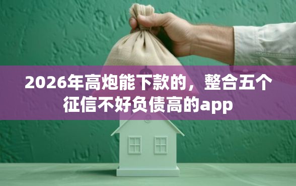 2026年高炮能下款的,整合五个征信不好负债高的app 2026年高炮能下款的,整合五个征信不好负债高的app