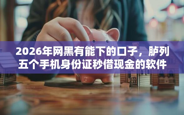2026年网黑有能下的口子，胪列五个手机身份证秒借现金的软件