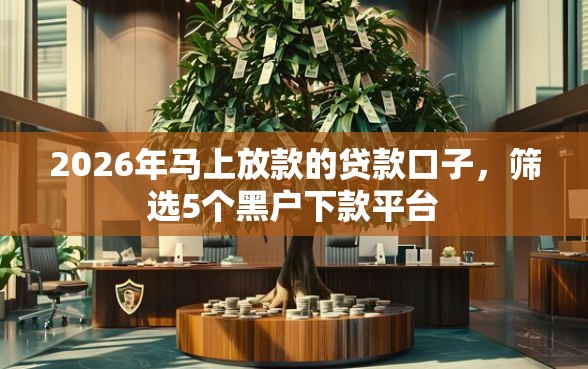 2026年马上放款的贷款口子，筛选5个黑户下款平台