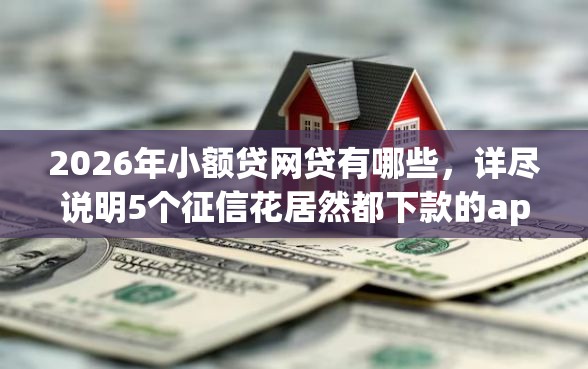 2026年小额贷网贷有哪些，详尽说明5个征信花居然都下款的app