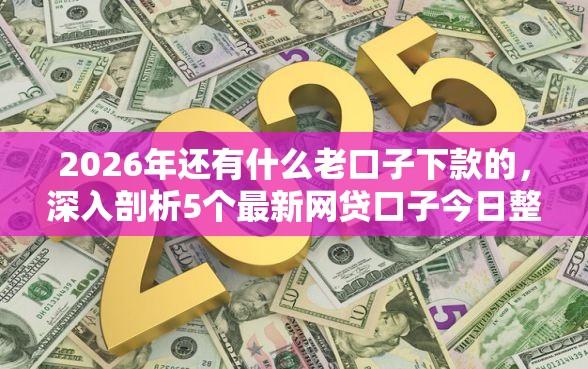 2026年还有什么老口子下款的，深入剖析5个最新网贷口子今日整理这五个平台