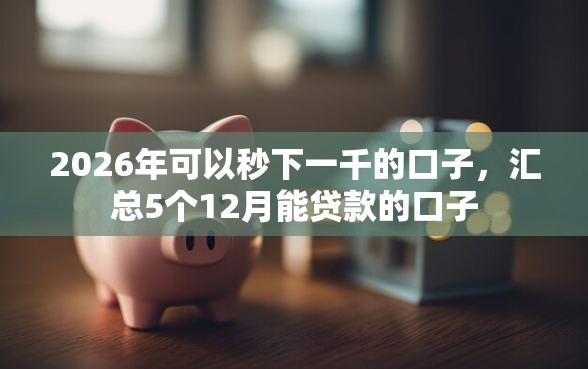 2026年可以秒下一千的口子,汇总5个12月能贷款的口子 2026年可以秒下一千的口子,汇总5个12月能贷款的口子