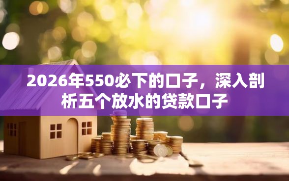 2026年550必下的口子，深入剖析五个放水的贷款口子
