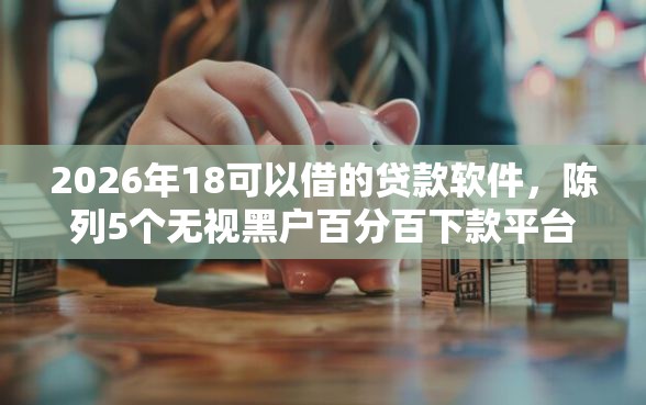 2026年18可以借的贷款软件，陈列5个无视黑户百分百下款平台