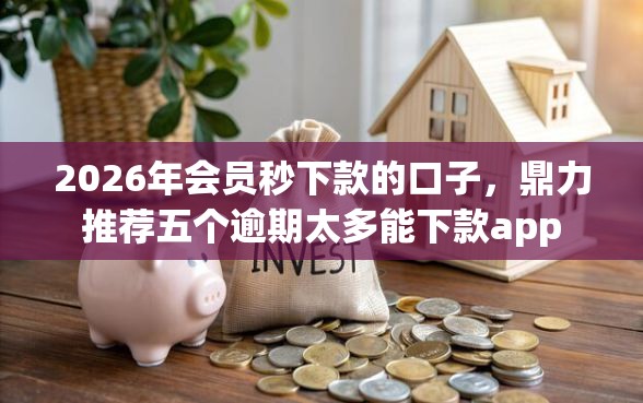 2026年会员秒下款的口子，鼎力推荐五个逾期太多能下款app