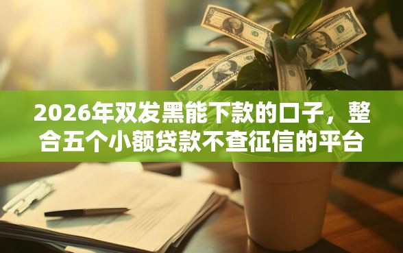 2026年双发黑能下款的口子，整合五个小额贷款不查征信的平台