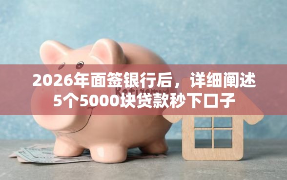 2026年面签银行后，详细阐述5个5000块贷款秒下口子