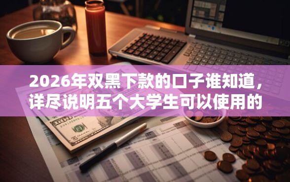 2026年双黑下款的口子谁知道，详尽说明五个大学生可以使用的口子
