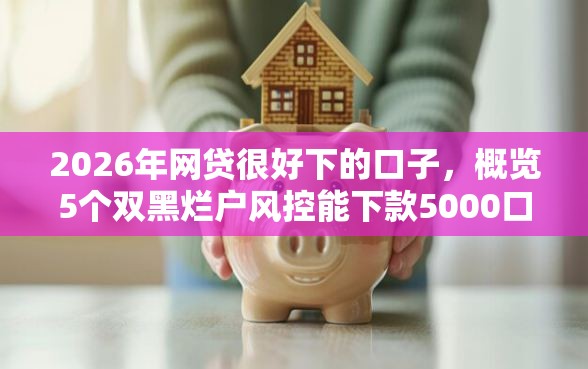 2026年网贷很好下的口子，概览5个双黑烂户风控能下款5000口子