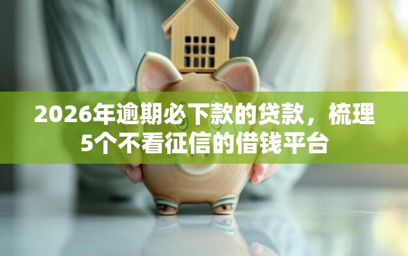 2026年逾期必下款的贷款，梳理5个不看征信的借钱平台