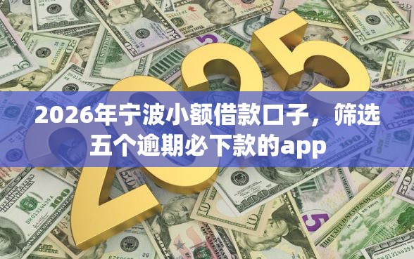 2026年宁波小额借款口子，筛选五个逾期必下款的app
