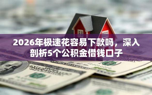 2026年极速花容易下款吗，深入剖析5个公积金借钱口子