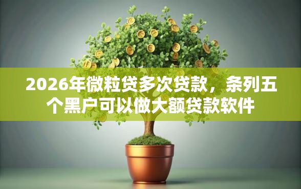 2026年微粒贷多次贷款，条列五个黑户可以做大额贷款软件