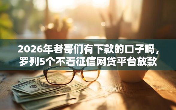 2026年老哥们有下款的口子吗，罗列5个不看征信网贷平台放款快的软件