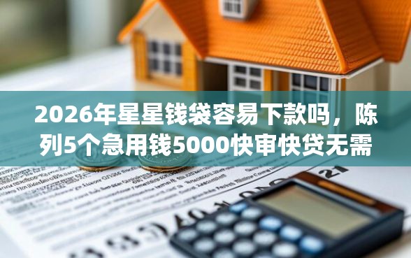 2026年星星钱袋容易下款吗，陈列5个急用钱5000快审快贷无需征信app