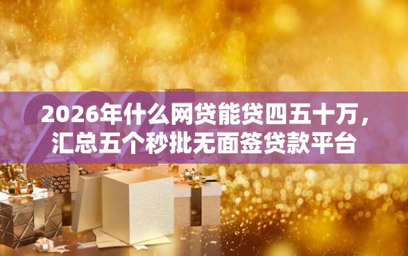 2026年什么网贷能贷四五十万，汇总五个秒批无面签贷款平台