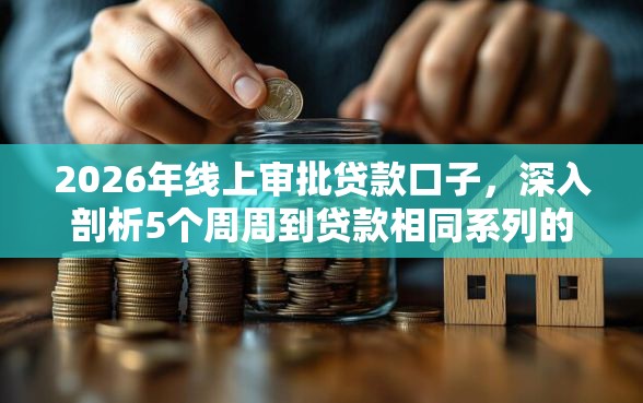 2026年线上审批贷款口子，深入剖析5个周周到贷款相同系列的平台
