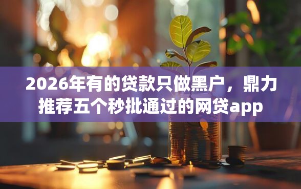 2026年有的贷款只做黑户，鼎力推荐五个秒批通过的网贷app