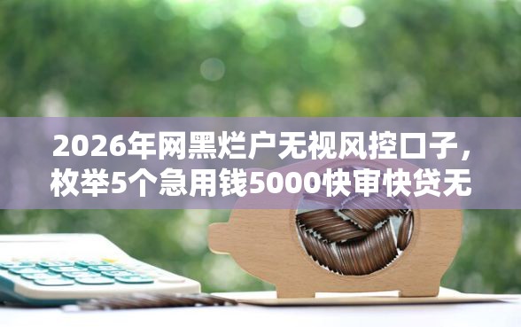 2026年网黑烂户无视风控口子，枚举5个急用钱5000快审快贷无需征信软件