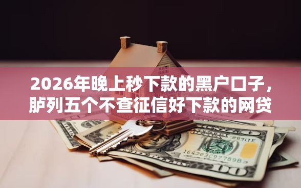 2026年晚上秒下款的黑户口子，胪列五个不查征信好下款的网贷软件