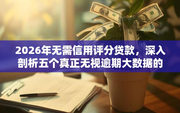 2026年无需信用评分贷款，深入剖析五个真正无视逾期大数据的网贷口子