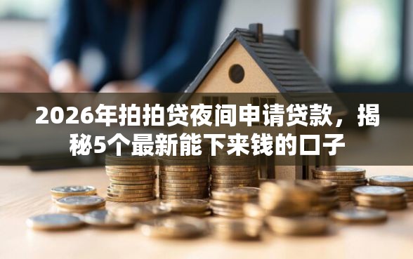 2026年拍拍贷夜间申请贷款，揭秘5个最新能下来钱的口子