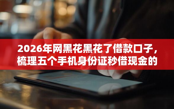 2026年网黑花黑花了借款口子，梳理五个手机身份证秒借现金的平台