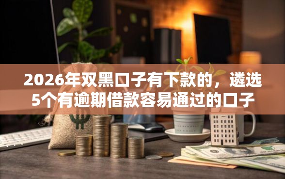 2026年双黑口子有下款的，遴选5个有逾期借款容易通过的口子