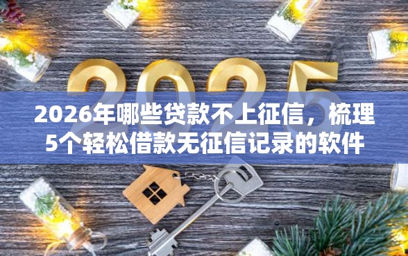 2026年哪些贷款不上征信，梳理5个轻松借款无征信记录的软件
