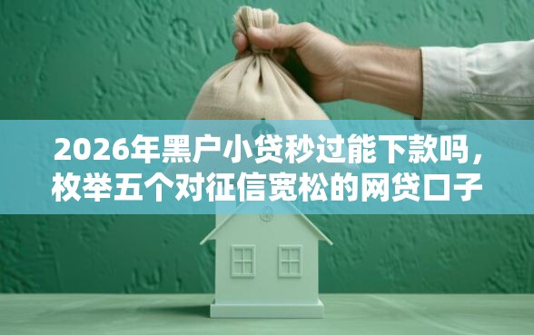 2026年黑户小贷秒过能下款吗,枚举五个对征信宽松的网贷口子 2026年黑户小贷秒过能下款吗,枚举五个对征信宽松的网贷口子