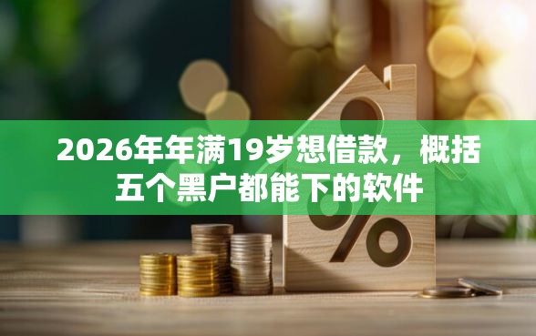 2026年年满19岁想借款，概括五个黑户都能下的软件
