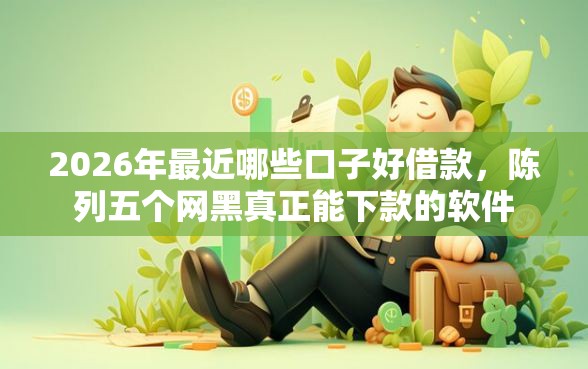 2026年最近哪些口子好借款，陈列五个网黑真正能下款的软件