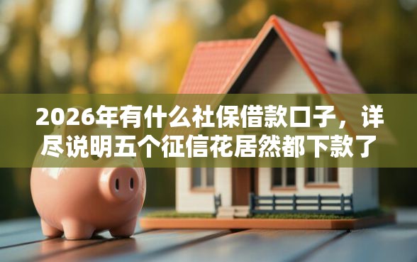 2026年有什么社保借款口子，详尽说明五个征信花居然都下款了的软件