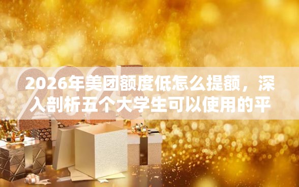 2026年美团额度低怎么提额，深入剖析五个大学生可以使用的平台
