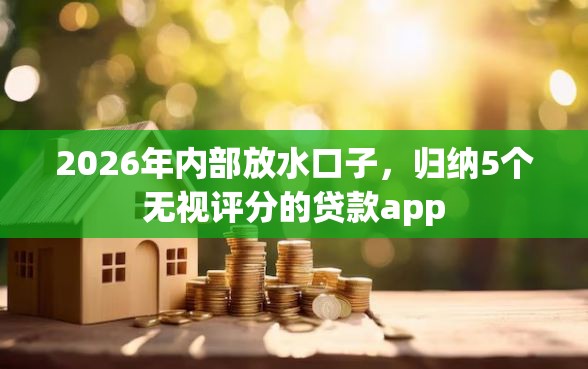 2026年内部放水口子，归纳5个无视评分的贷款app