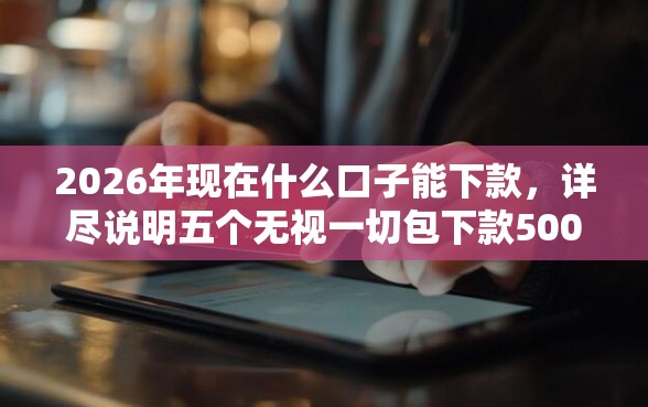 2026年现在什么口子能下款，详尽说明五个无视一切包下款5000秒下款的软件