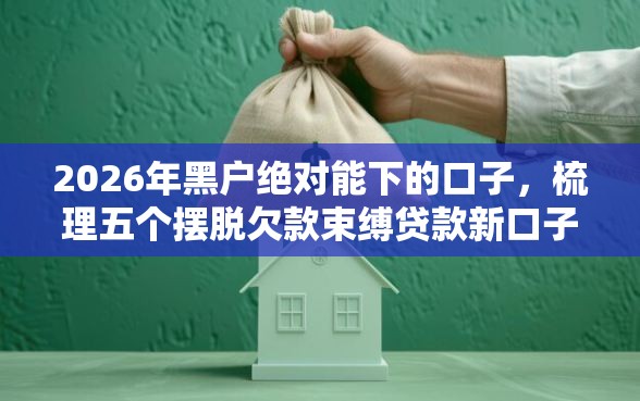 2026年黑户绝对能下的口子，梳理五个摆脱欠款束缚贷款新口子