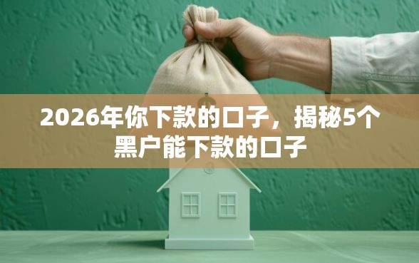 2026年你下款的口子,揭秘5个黑户能下款的口子 2026年你下款的口子,揭秘5个黑户能下款的口子