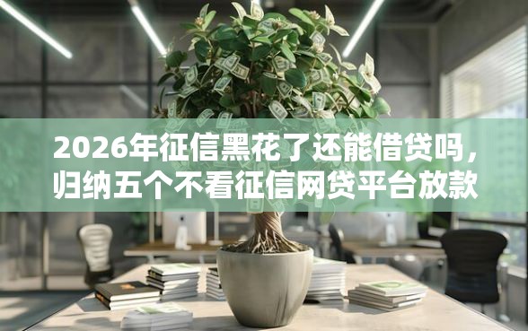 2026年征信黑花了还能借贷吗，归纳五个不看征信网贷平台放款快的软件