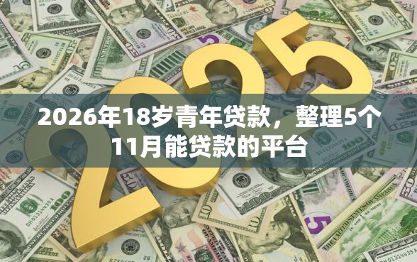 2026年18岁青年贷款，整理5个11月能贷款的平台